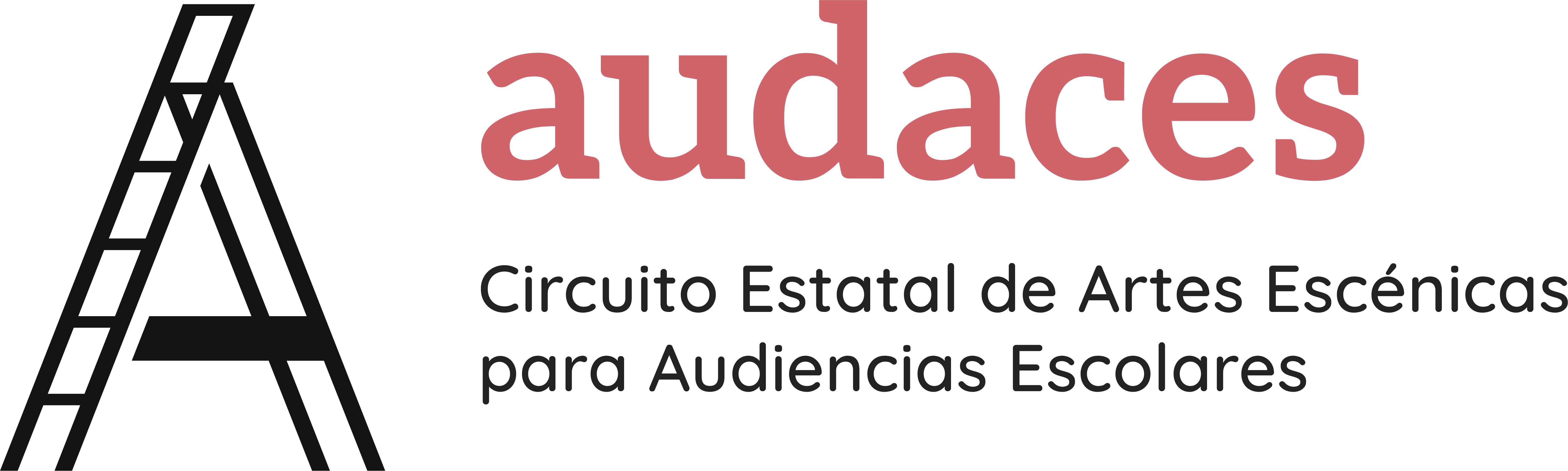 Logo Audaces